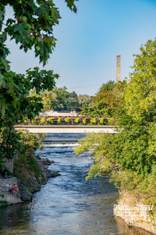 CentreWellingtongallery 99 of 