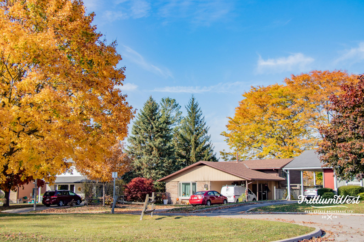 ChurchillParkImageGallery 