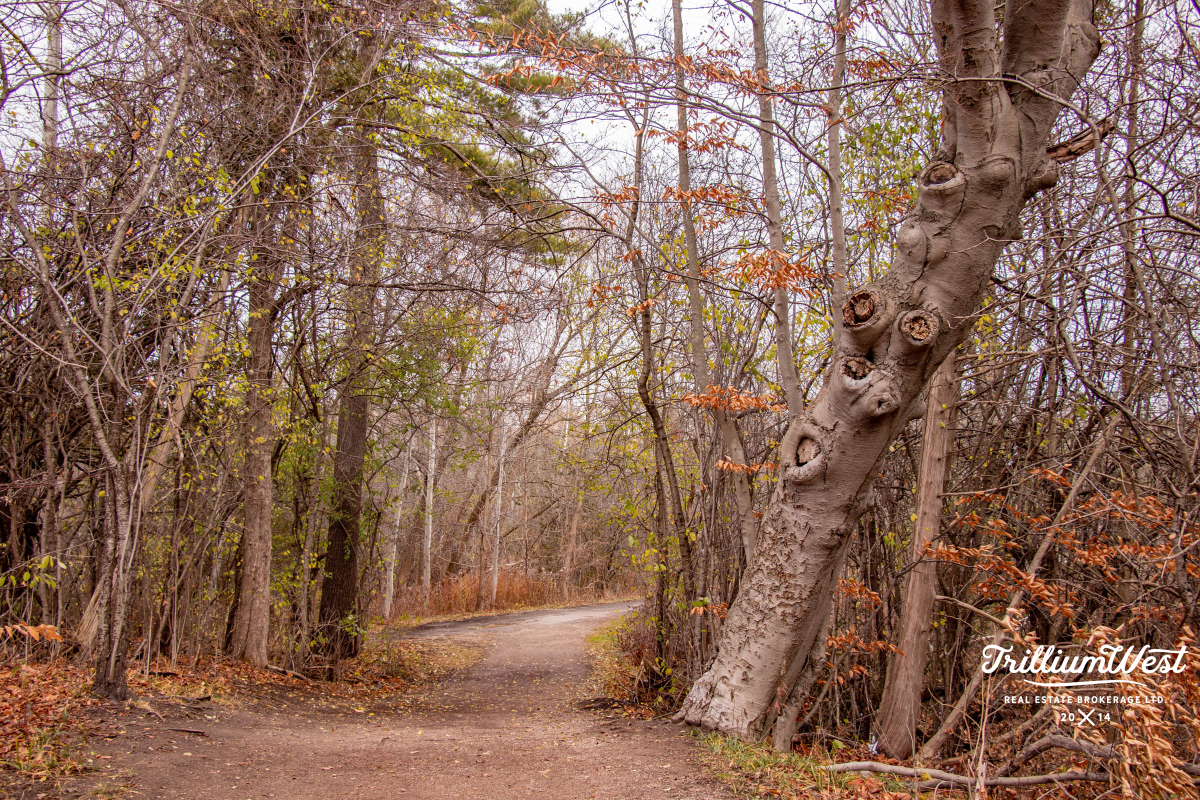 ColonialAcresgallery 45 of 