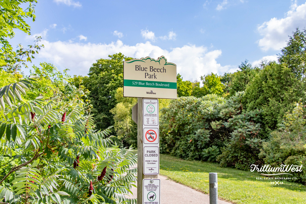 ColumbiaForestgallery 11 of 