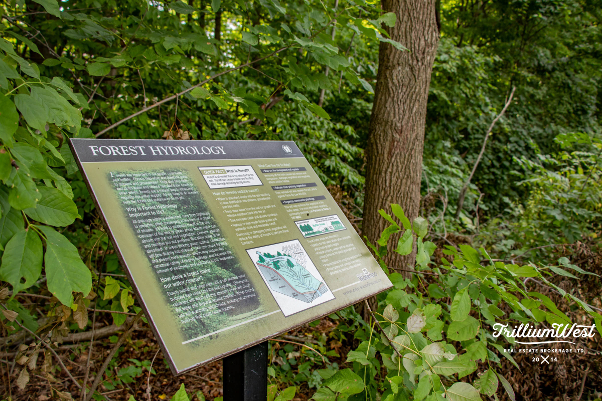 ColumbiaForestgallery 14 of 