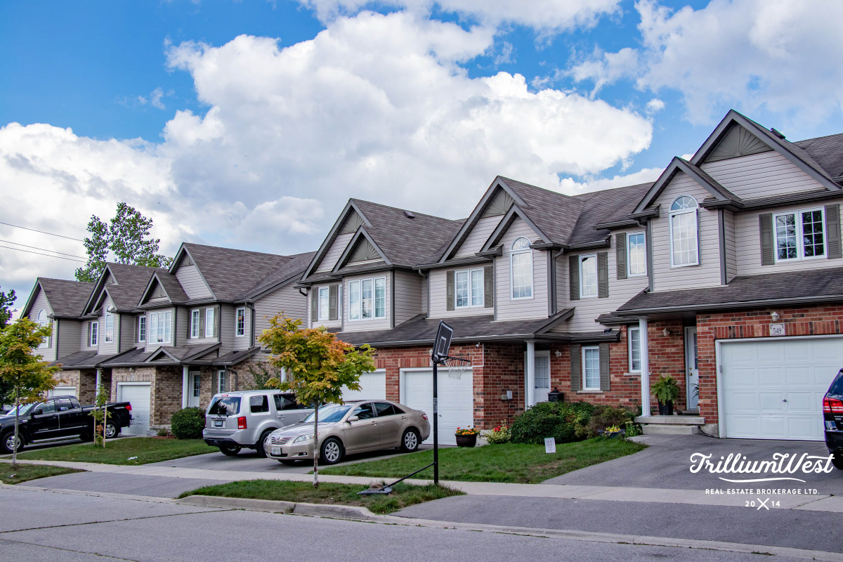 ColumbiaForestgallery 18 of 