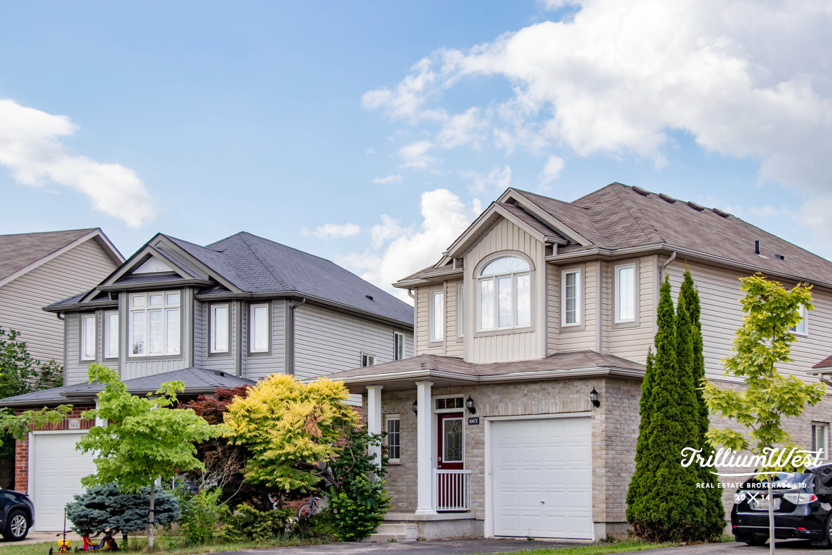 ColumbiaForestgallery 25 of 