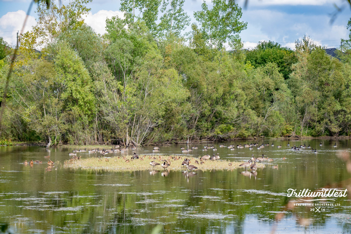 ColumbiaForestgallery 29 of 