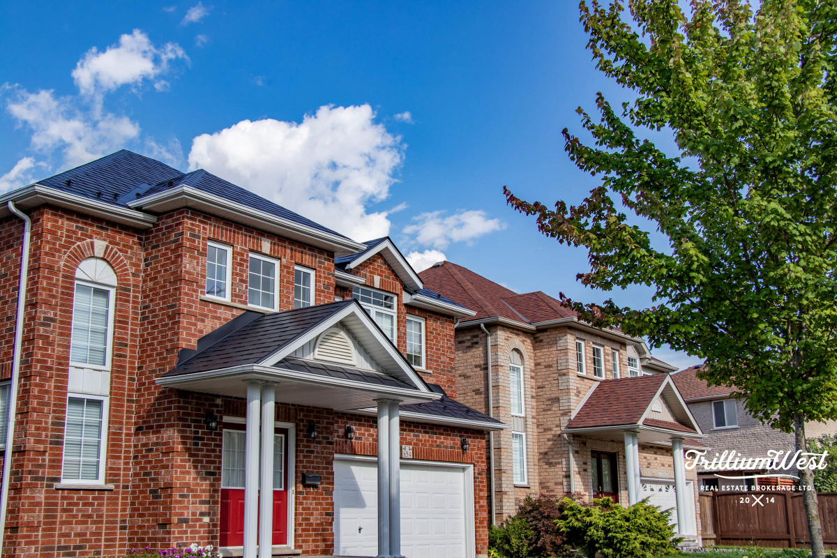 ColumbiaForestgallery 42 of 