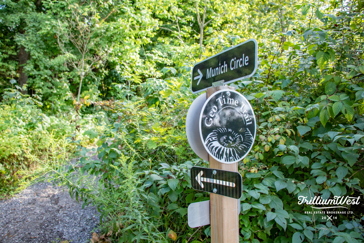 ColumbiaForestgallery 47 of 