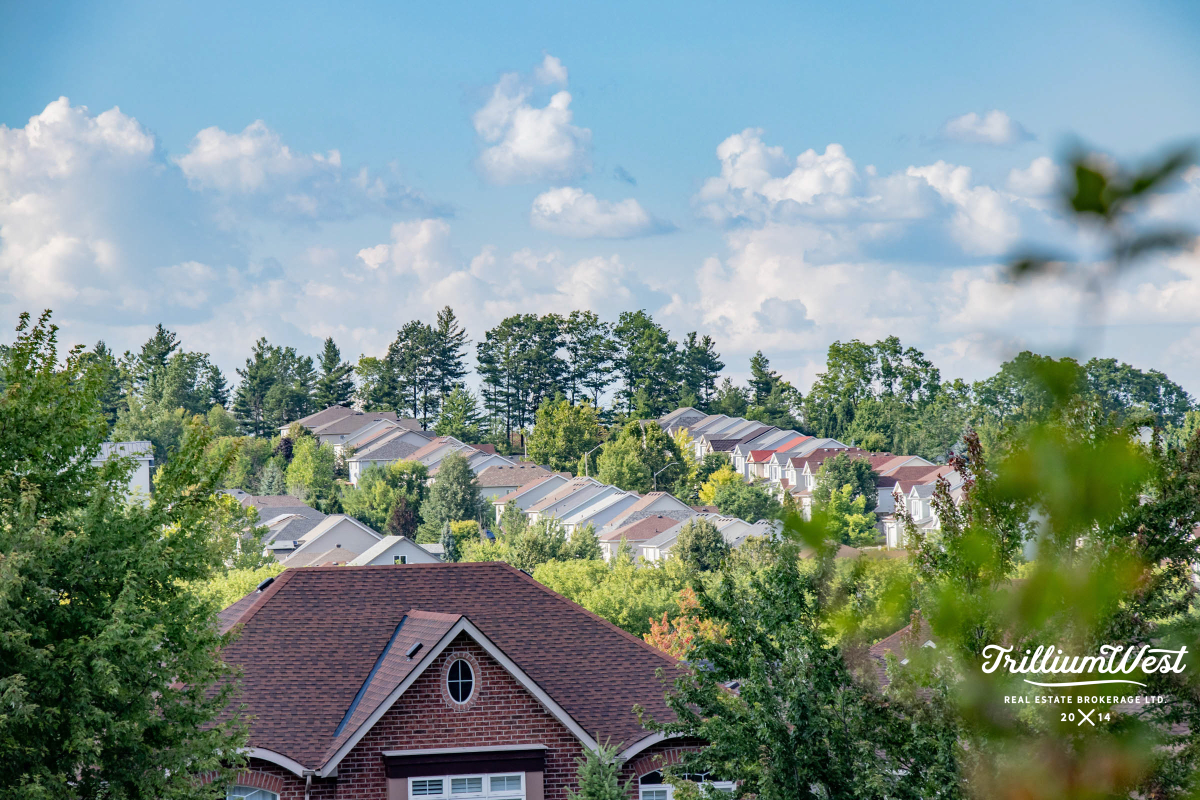 ColumbiaForestgallery 49 of 