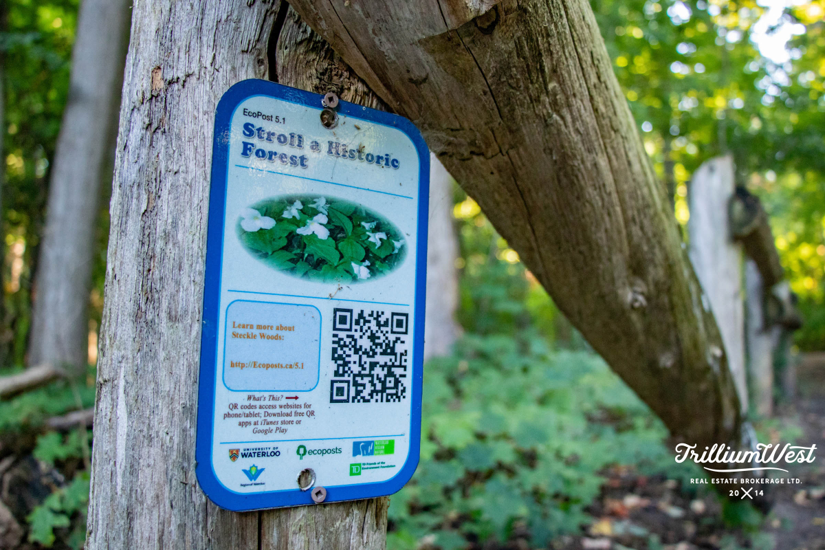 CountryHillsgallery 20 of 