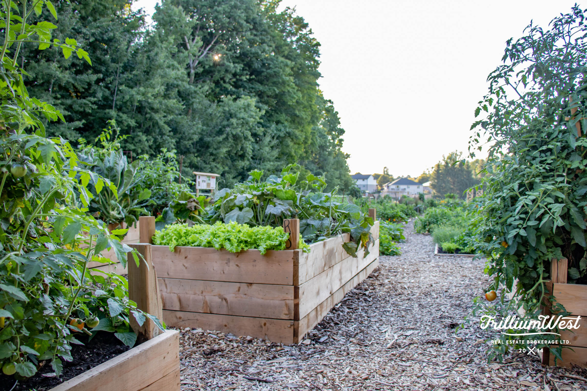 CountryHillsgallery 28 of 