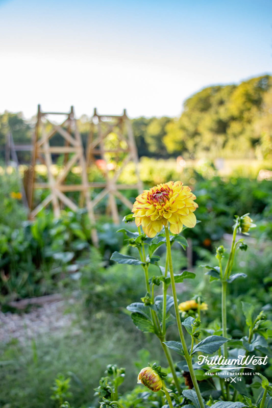 CountryHillsgallery 30 of 