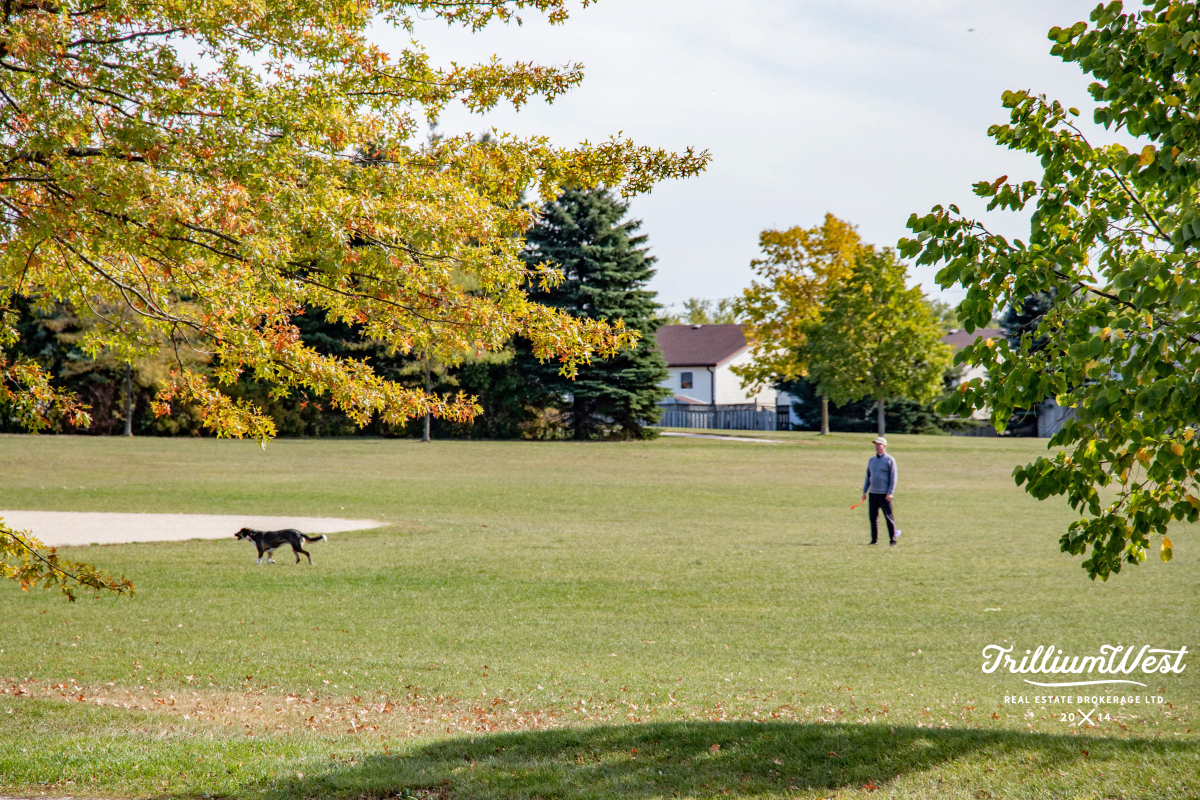 CountryHillsgallery 50 of 