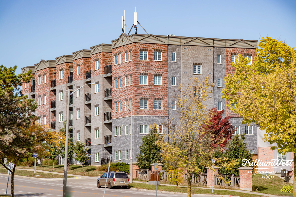 CountryHillsgallery 70 of 