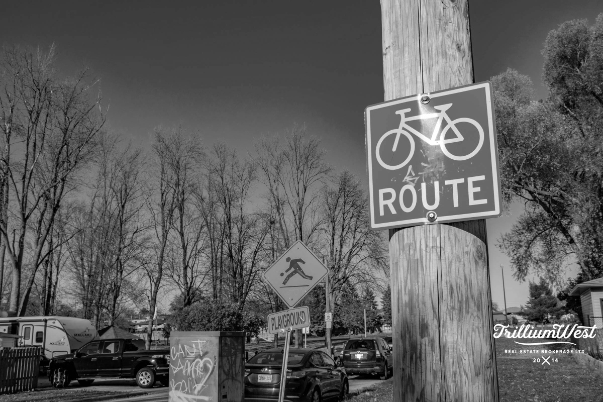 ElginParkCoronationgallery 15 of 