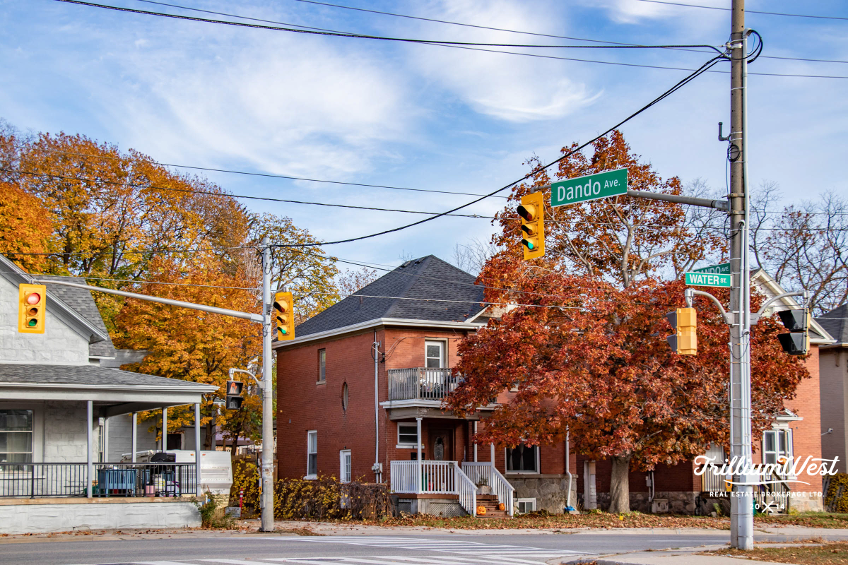 ElginParkCoronationgallery 16 of 