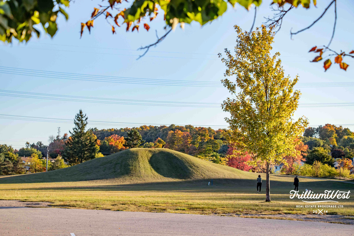 ForestHeightsgallery 88 of 