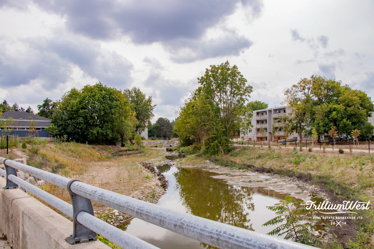 ForestHillgallery 15 of 