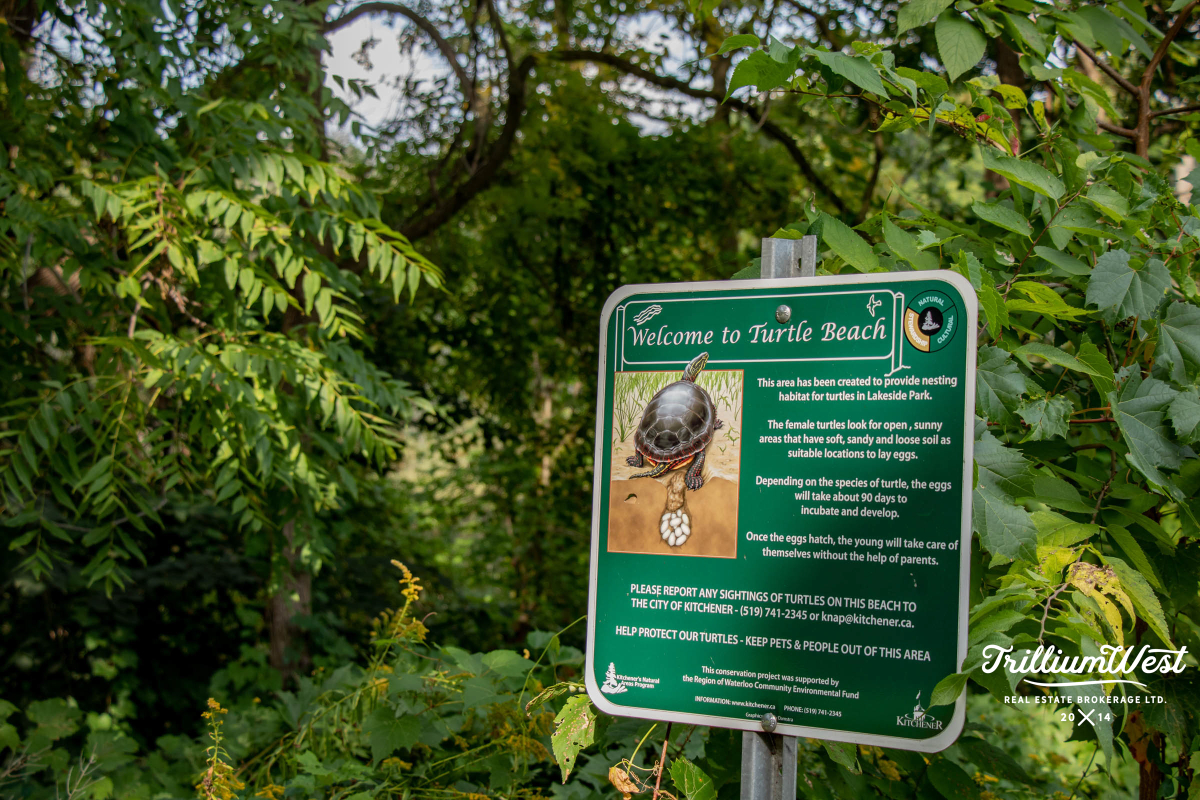 ForestHillgallery 37 of 