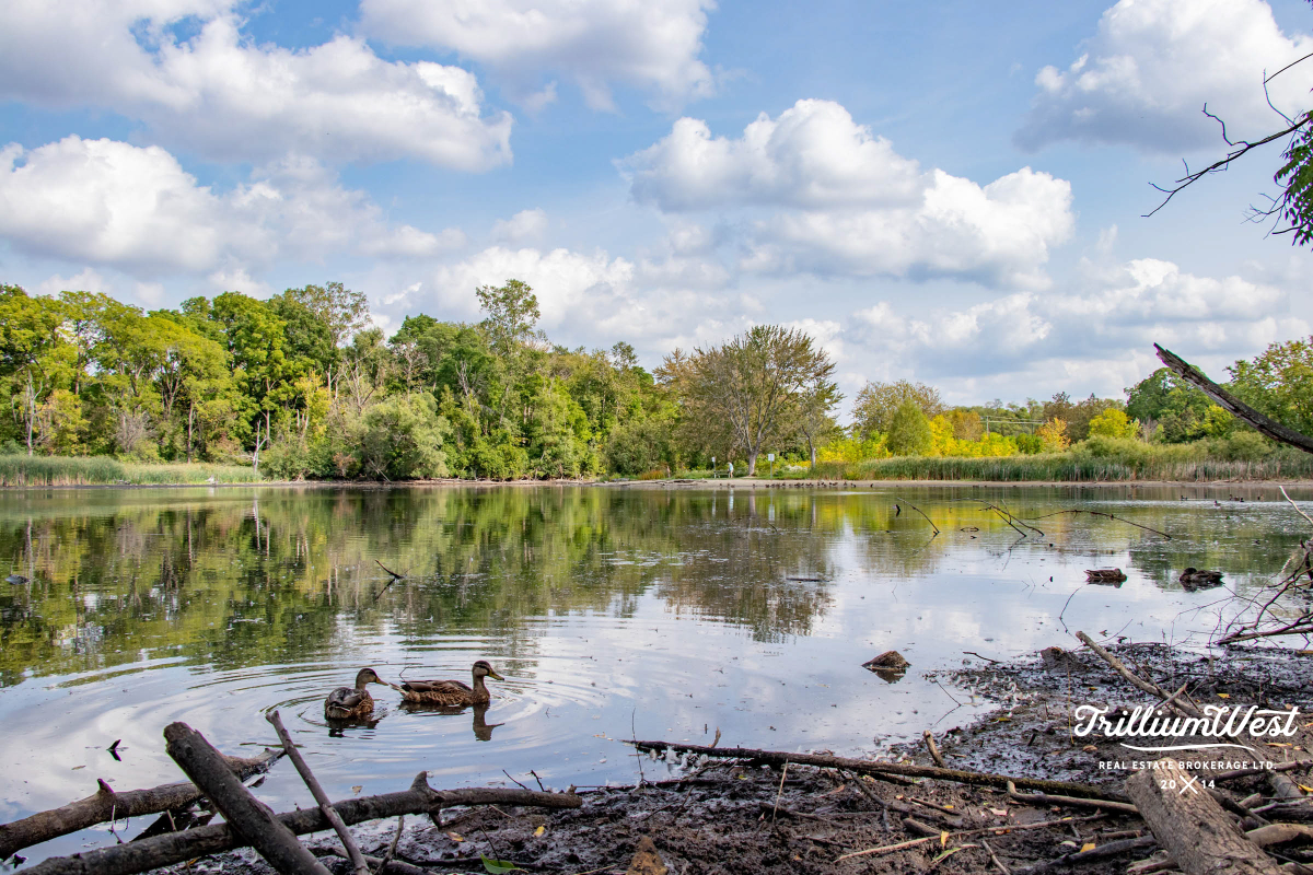 ForestHillgallery 51 of 