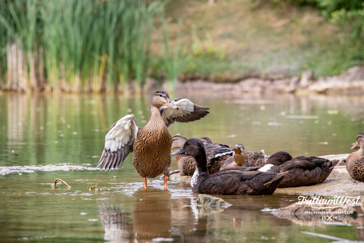 Glenridgegallery 22 of 