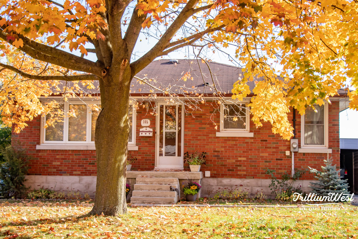 GlenviewLincolnImageGallery 