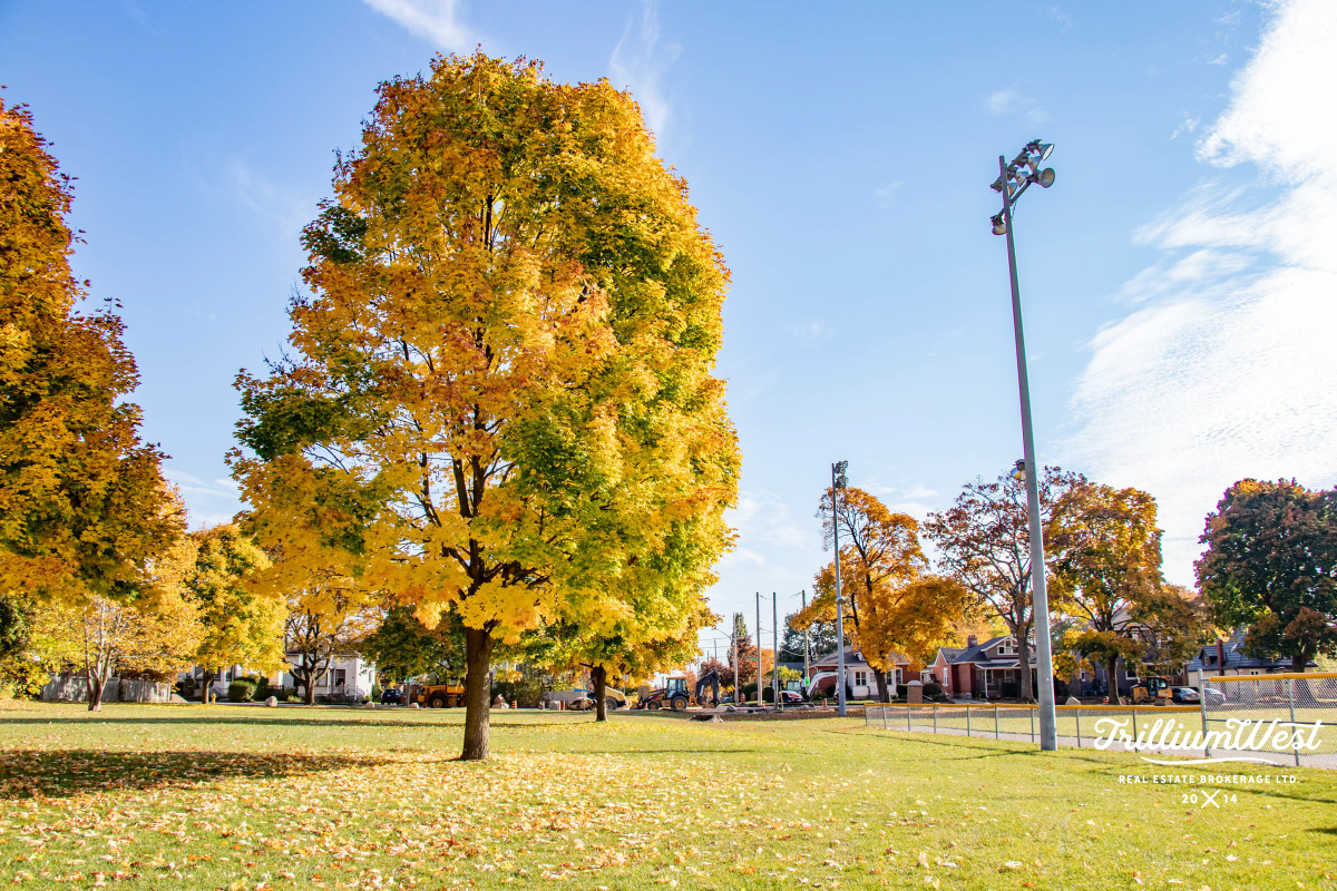 GlenviewLincolnImageGallery 