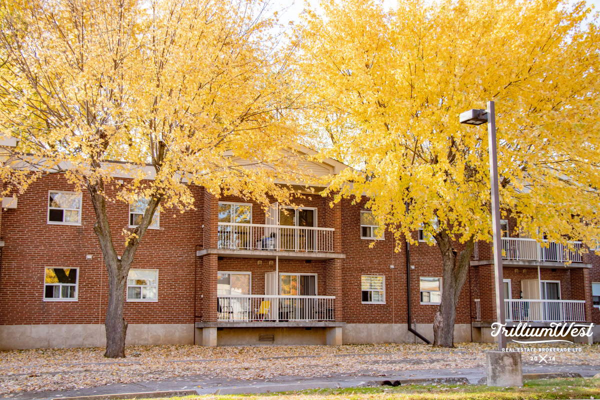 GlenviewLincolnImageGallery 