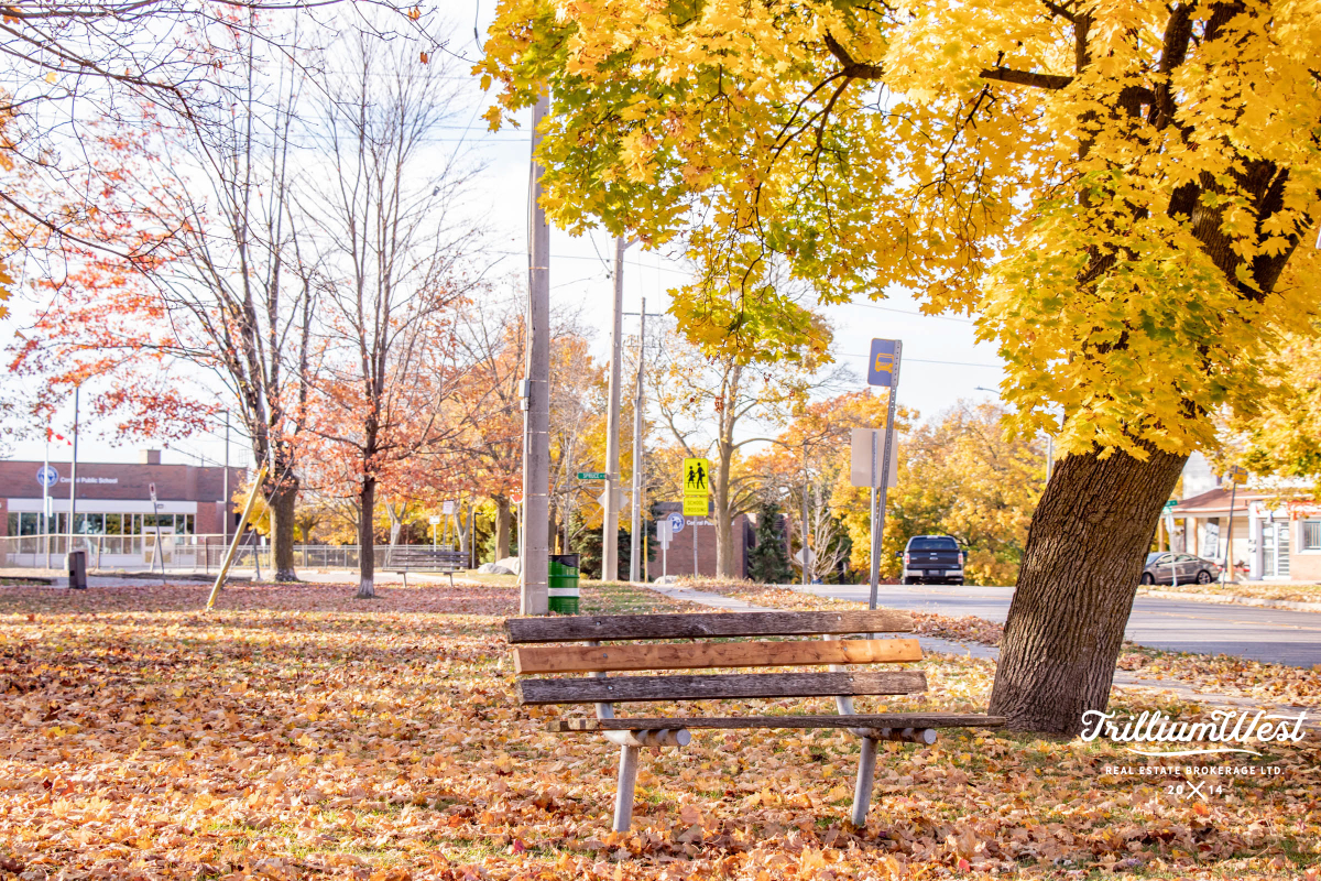 GlenviewLincolnImageGallery 