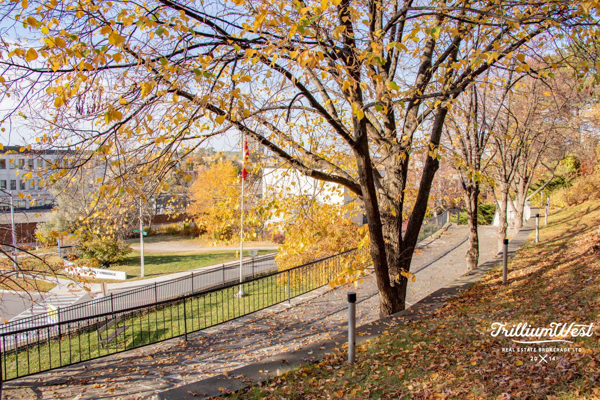 GlenviewLincolnImageGallery 