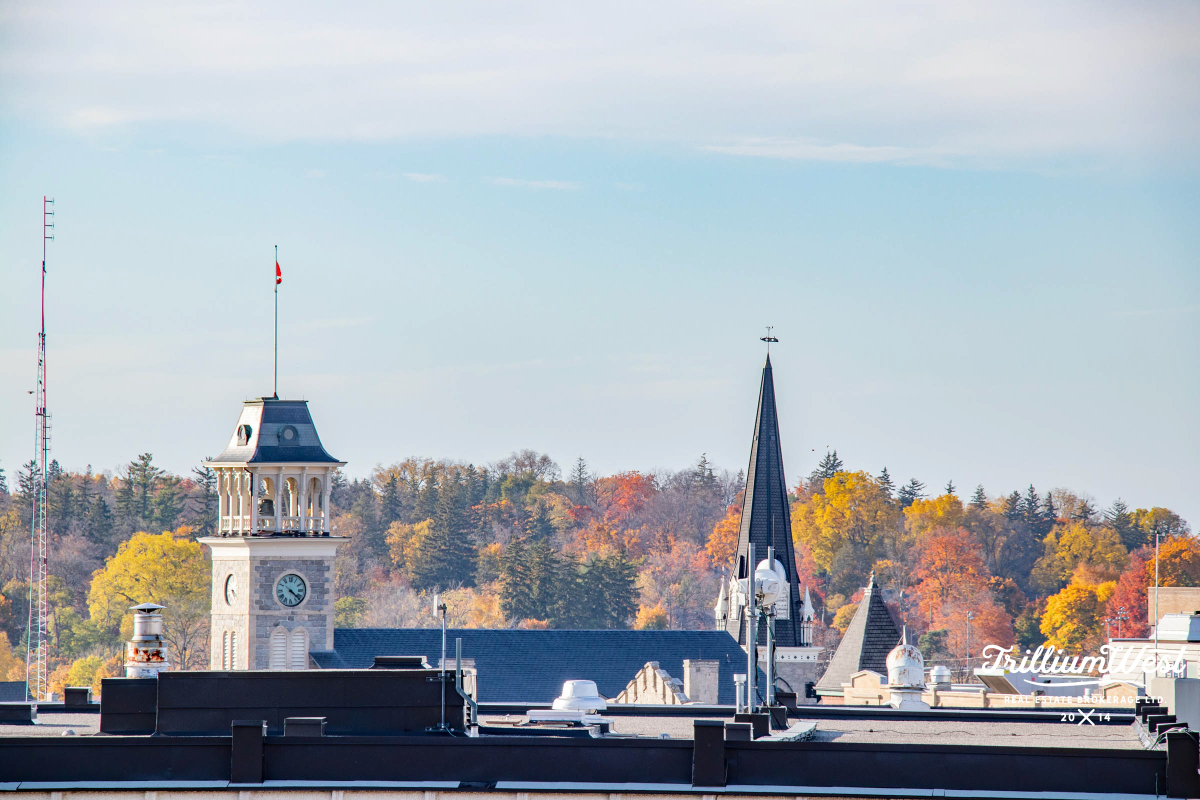 GlenviewLincolnImageGallery 