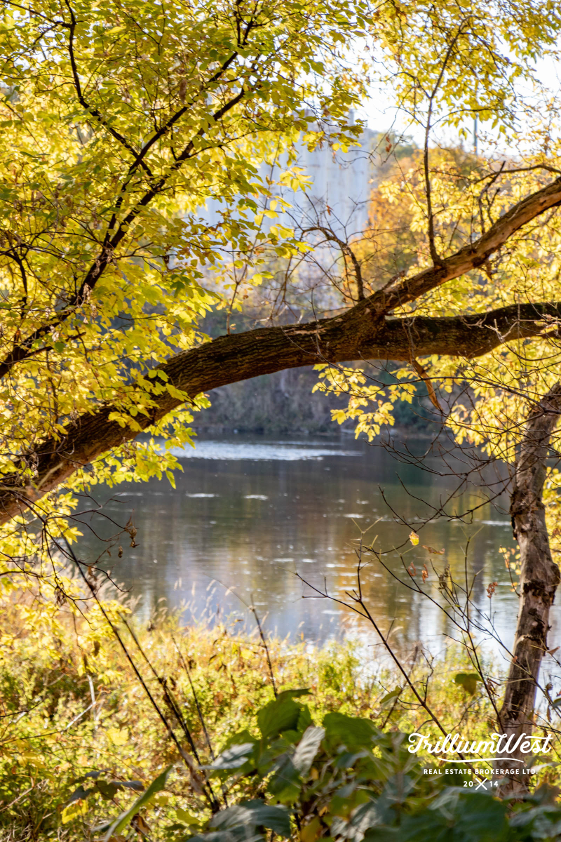 GlenviewLincolnImageGallery 