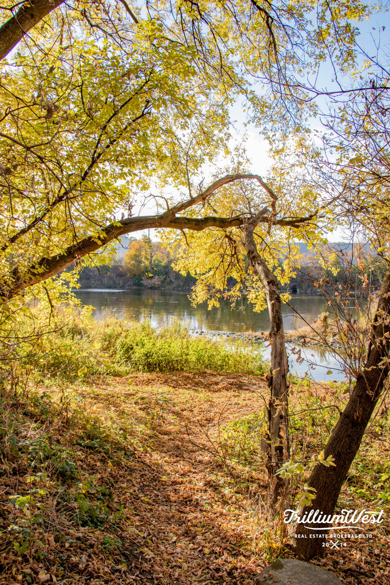 GlenviewLincolnImageGallery 