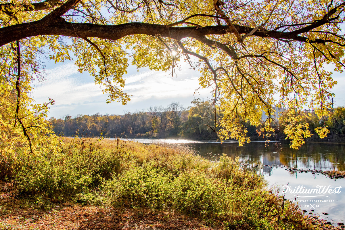 GlenviewLincolnImageGallery 