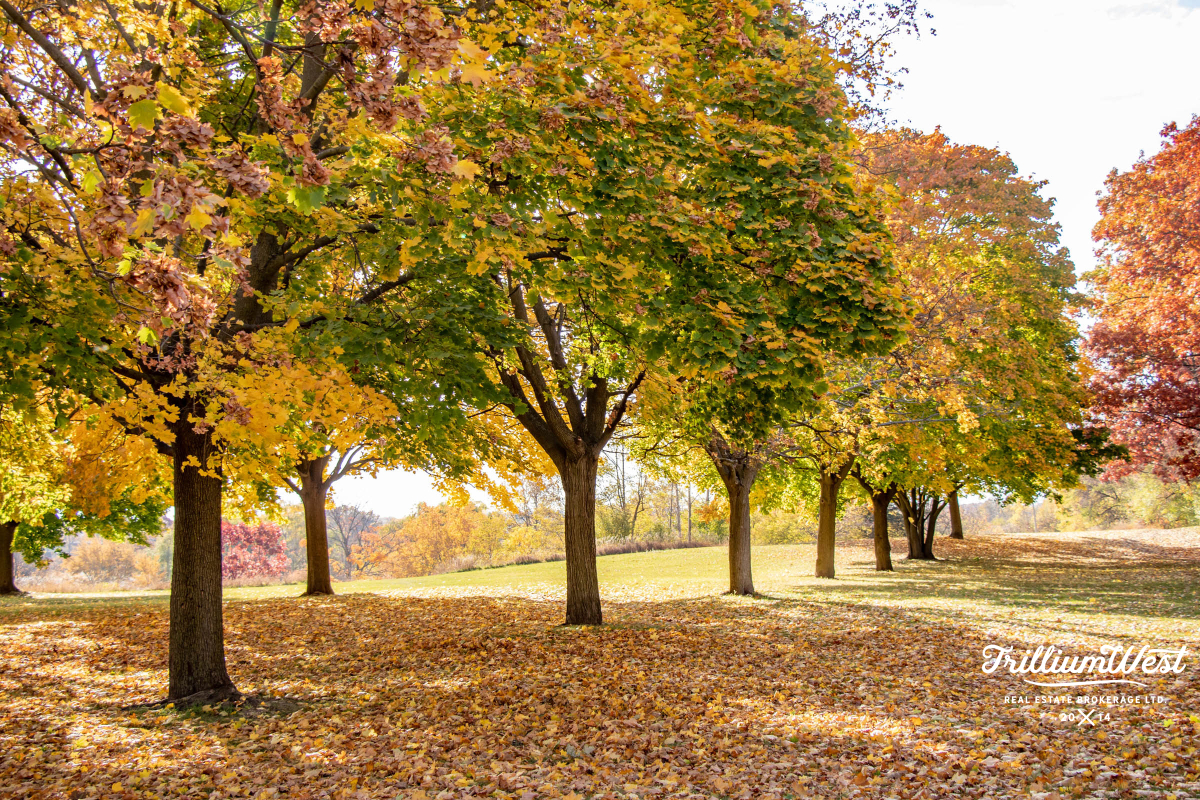 GlenviewLincolnImageGallery 