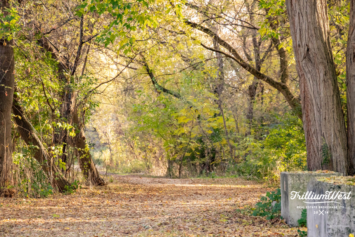 GlenviewLincolnImageGallery 