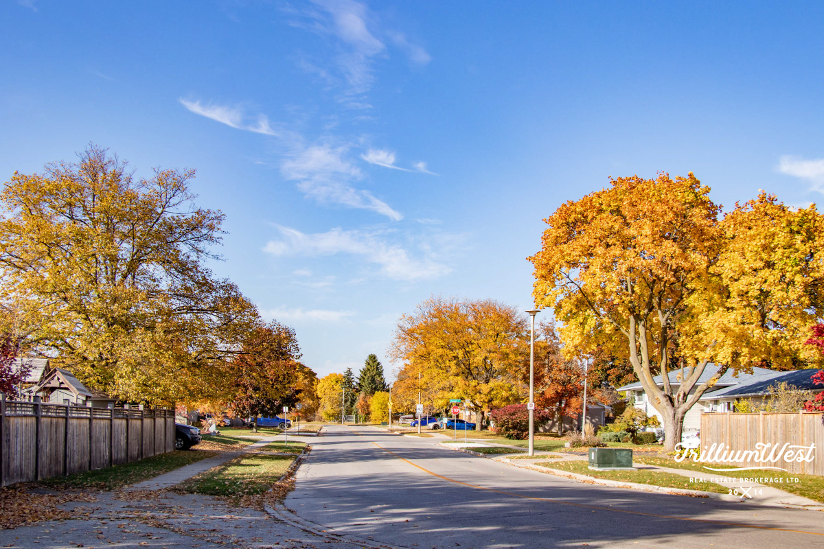 GlenviewLincolnImageGallery 