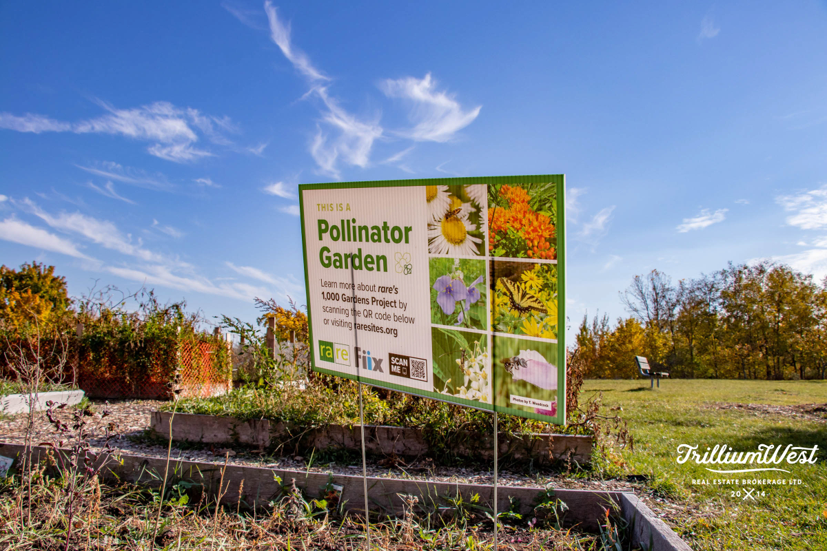 GlenviewLincolnImageGallery 