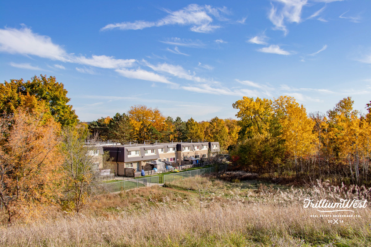 GlenviewLincolnImageGallery 