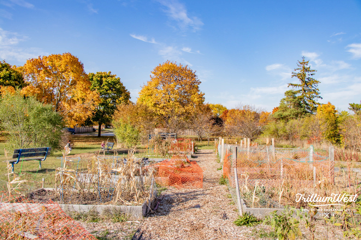 GlenviewLincolnImageGallery 