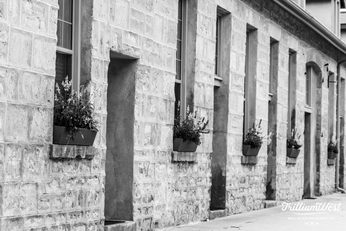 Guelph General 11 copy