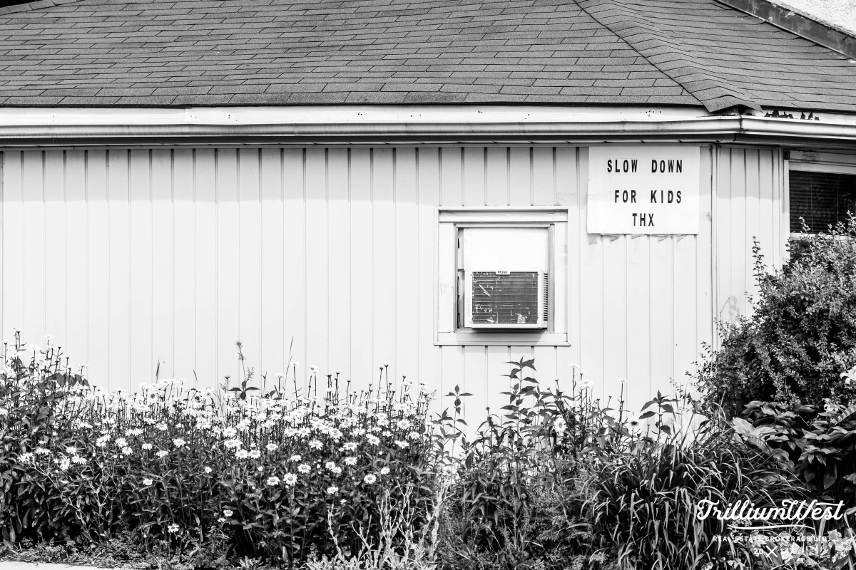 Guelph General 12 copy