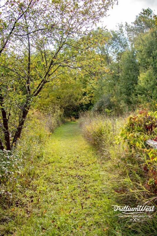 GuelphLakegallery 