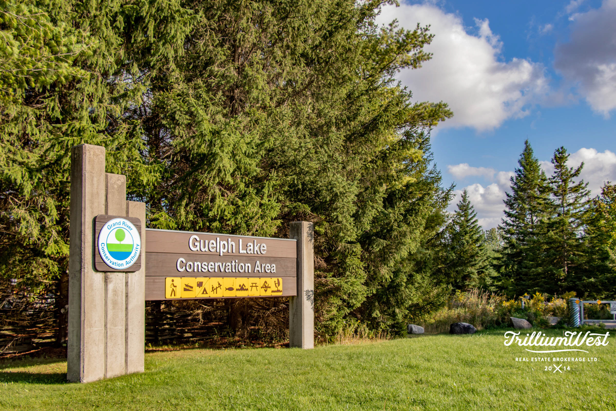 GuelphLakegallery 