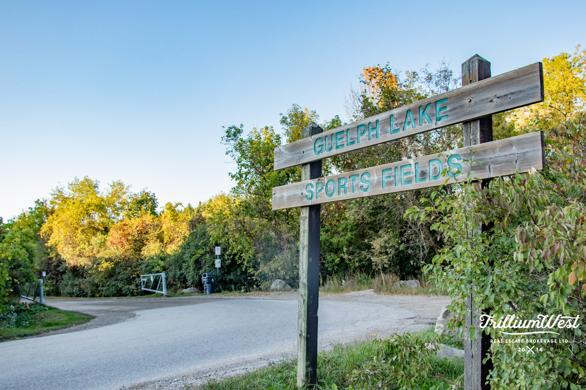 GuelphLakegallery 