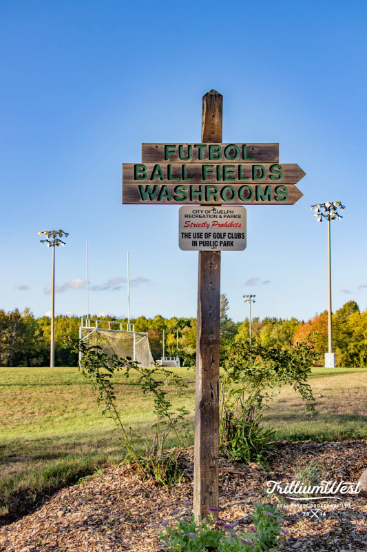 GuelphLakegallery 