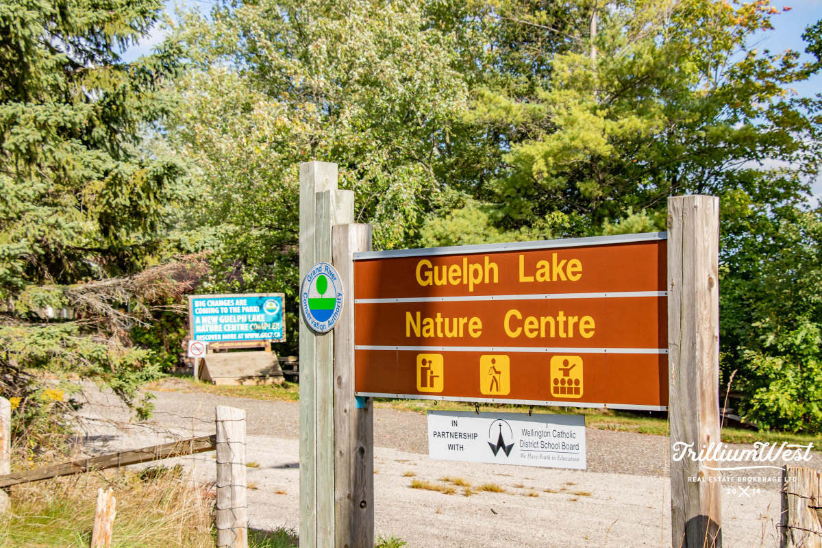 GuelphLakegallery 