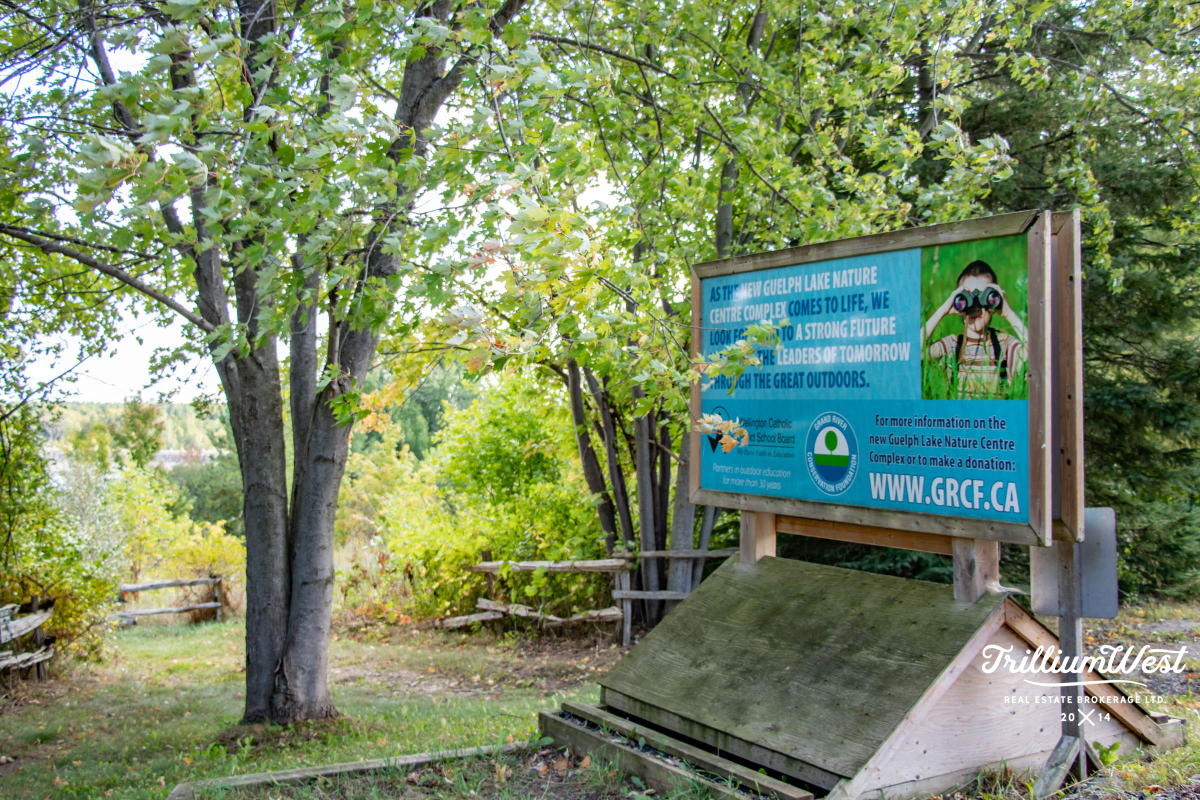 GuelphLakegallery 