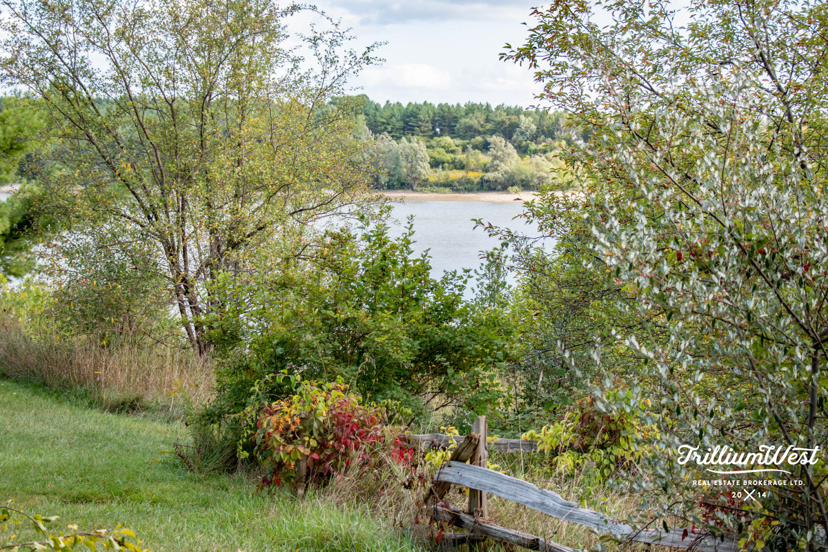 GuelphLakegallery 