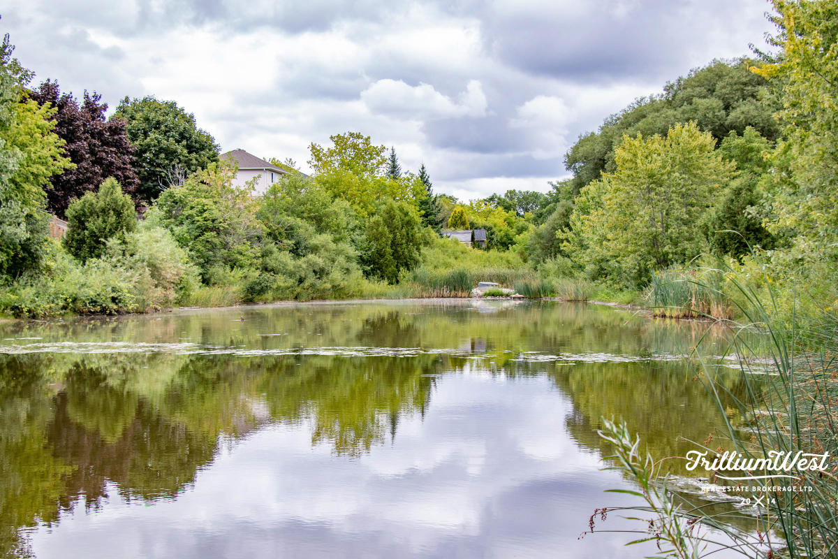 HighlandWestgallery 16 of 