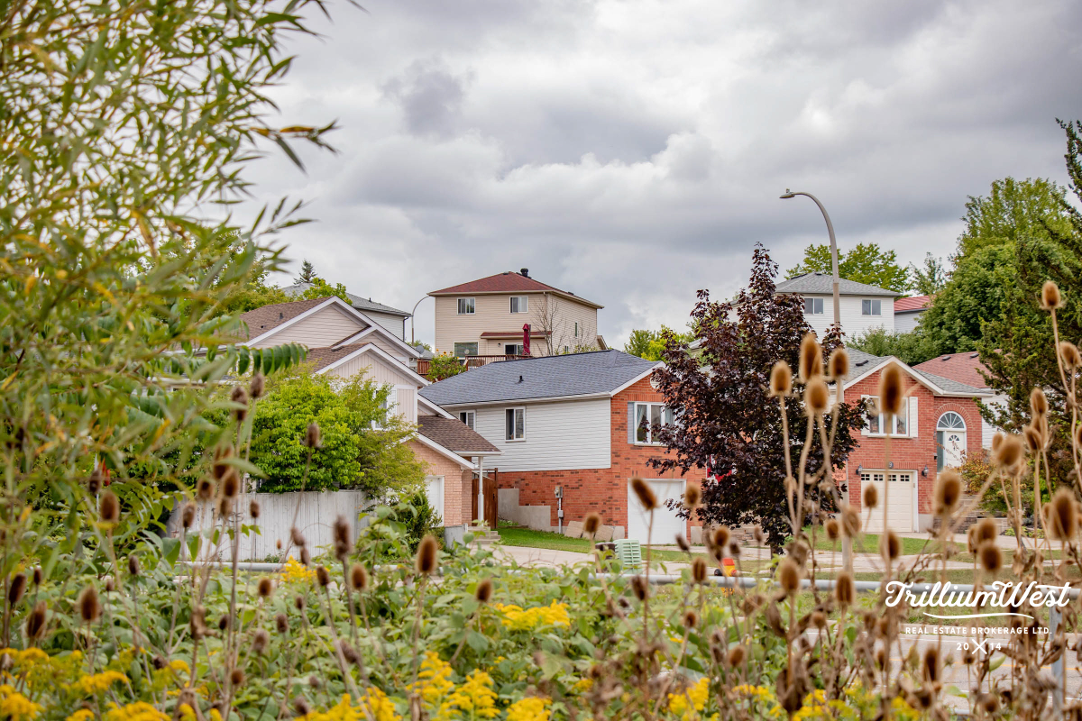 HighlandWestgallery 17 of 