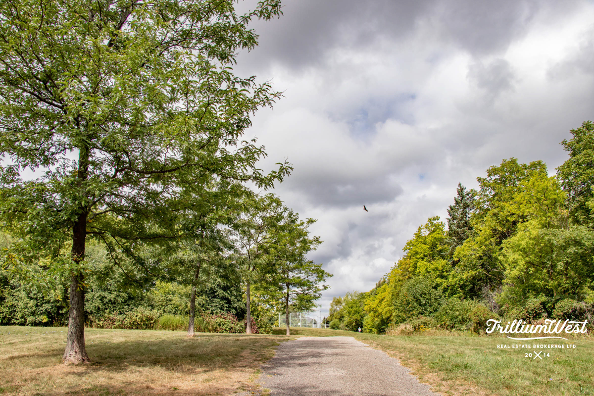 HighlandWestgallery 2 of 